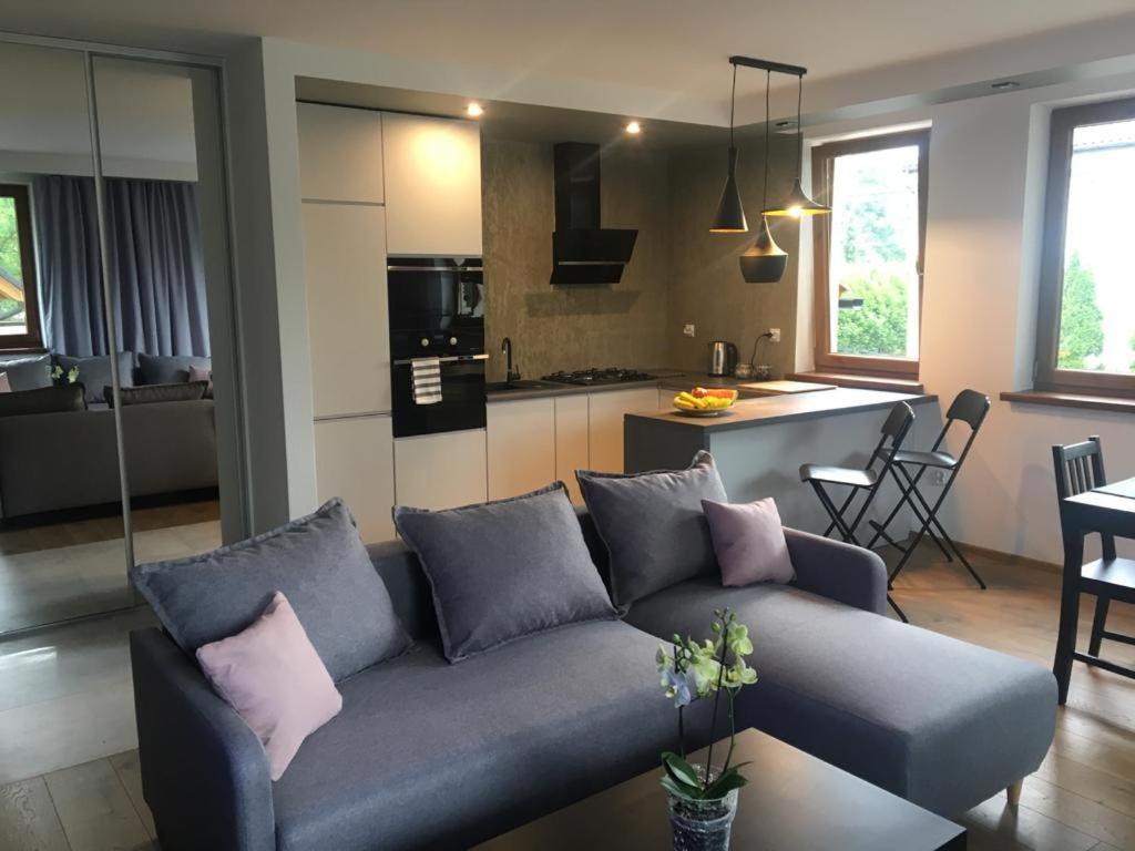 Apartamenty Pod Jesionem زاتور المظهر الخارجي الصورة